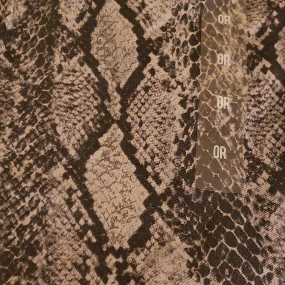 Express - Picture 2 of 4